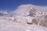 DSC_9559.jpg - 